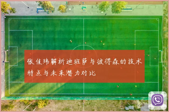 张佳玮解析迪班萨与彼得森的技术特点与未来潜力对比